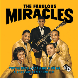 You've Really Got A Hold On Me · The Miracles