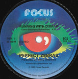 Perfect Zebras - Running With Zebras