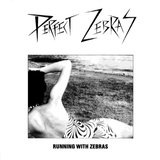 Perfect Zebras - Running With Zebras